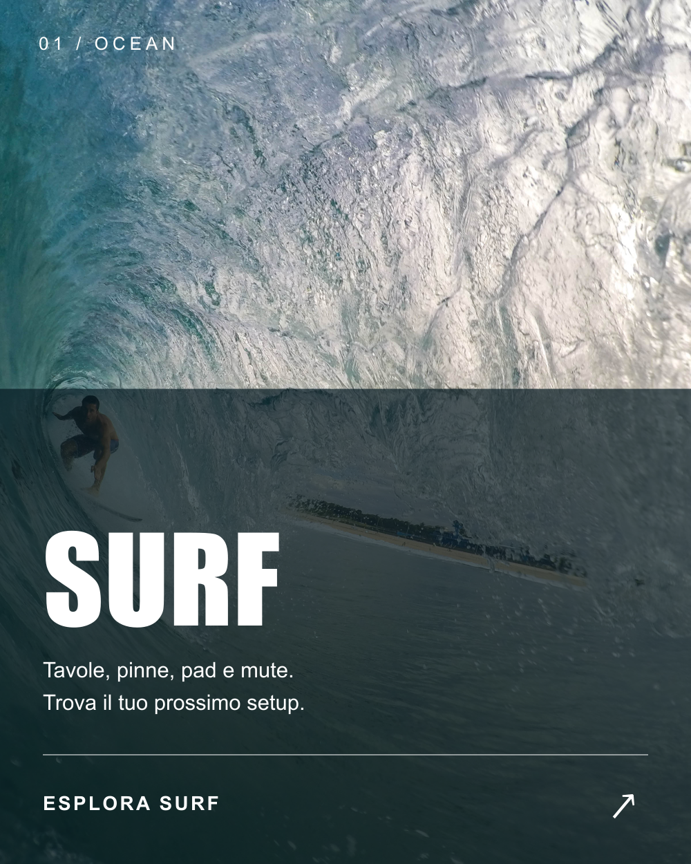 Surf: tavole, pinne, pad e mute. Trova il tuo prossimo setup. Esplora il reparto Surf.