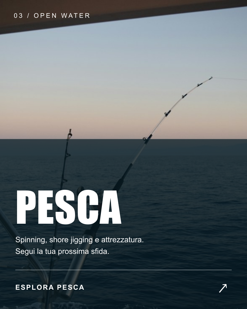 Pesca: spinning, shore jigging e attrezzatura. Segui la tua prossima sfida. Esplora il reparto Pesca.
